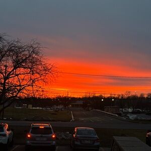 Meet your Posher, Sophia